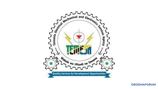 TEMESA